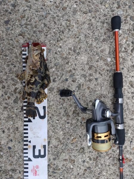 朝マヅメ不発💀