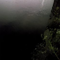 今日もナマズ釣行