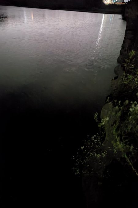 今日もナマズ釣行