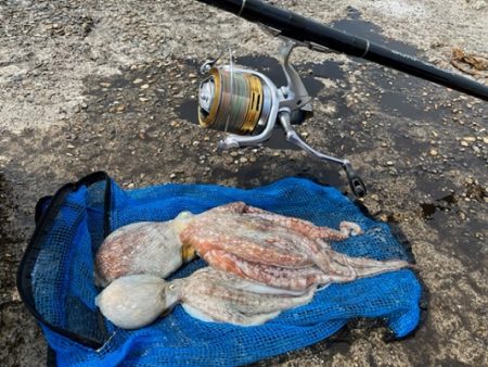 陸っぱりからがんばる男