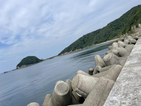 伊島港で青物！