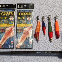 大人の夜遊び マイカ釣り！