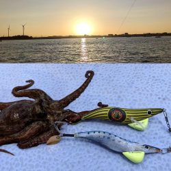 愛知／新舞子沖タコ釣り！