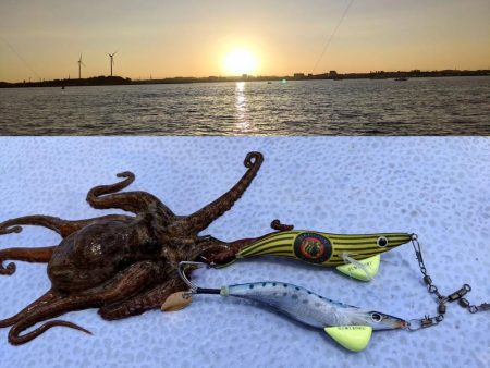 愛知／新舞子沖タコ釣り！