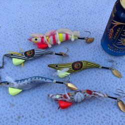 愛知／新舞子沖タコ釣り！