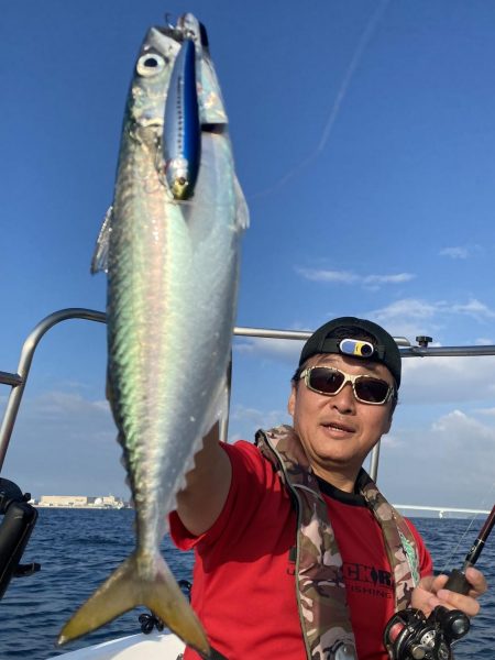 オオサバがトップで大漁水揚げ