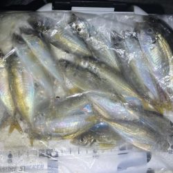 渋いスタートでした。