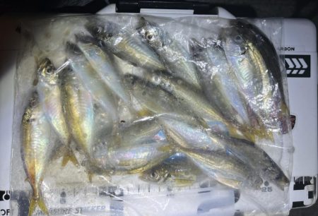 渋いスタートでした。