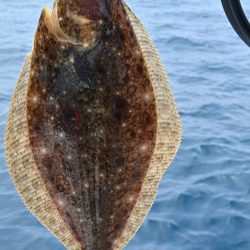 ジギング&キャスティング