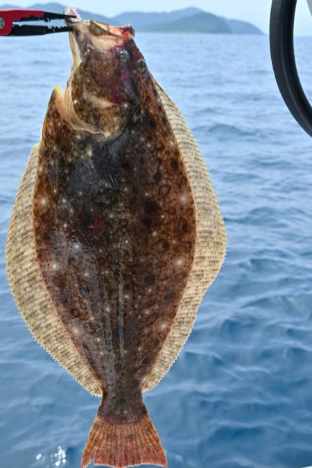 ジギング&キャスティング