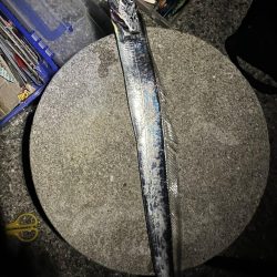 タチウオを求めて弾丸ツアー