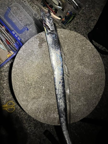 タチウオを求めて弾丸ツアー