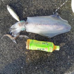 四週連続同じ場所へ