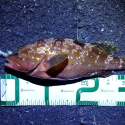 盆休み1日目の朝