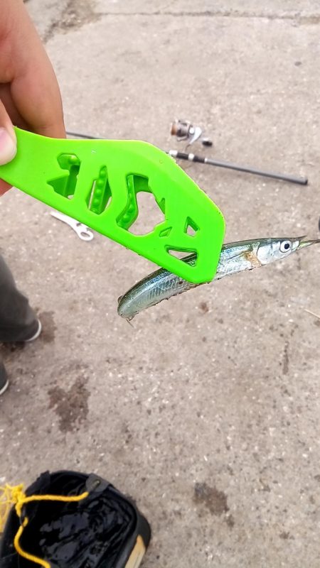 えんぴつサヨリ