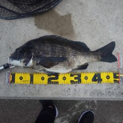 今年初！！　～辰巳～