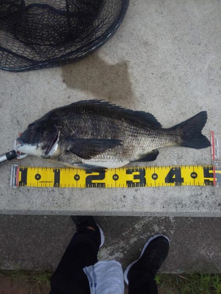 今年初！！　～辰巳～