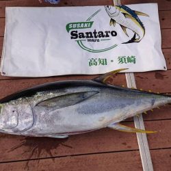 たかたかの釣り日記