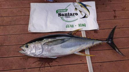 たかたかの釣り日記