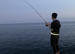 ライトショアジギング