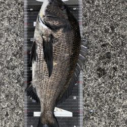 イチノ兄弟、釣果！