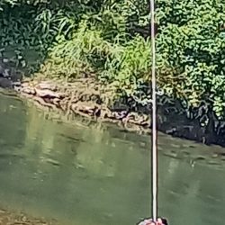 漁港の掃除から鮎釣りへ