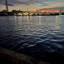 地元でヒイカ釣り