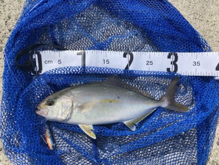 久しぶりのルアー