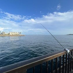 明石タコリベンジジャーズ