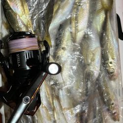 エブリナイトお豆❤️