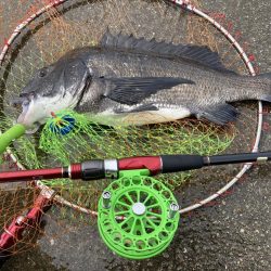 大(50cm)と小(28cm)