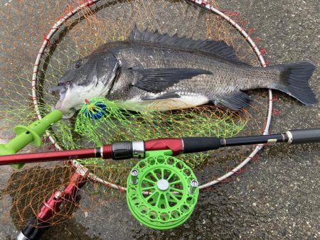 大(50cm)と小(28cm)