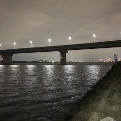 夏チニング1年振り