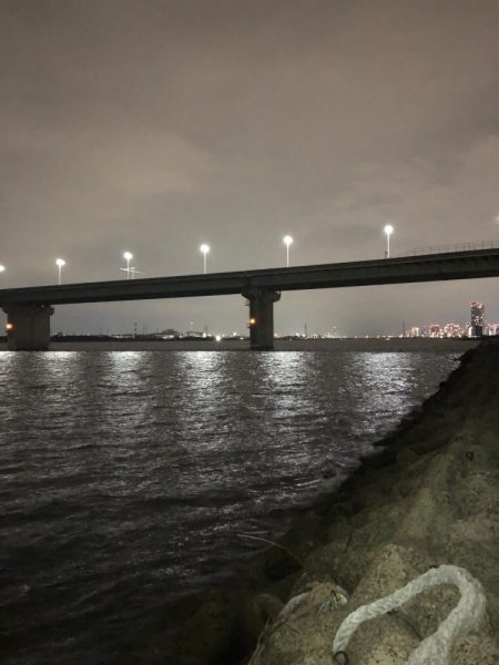 夏チニング1年振り