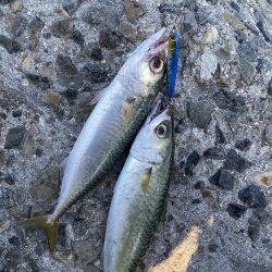 リベンジマッチがサバゲーに…