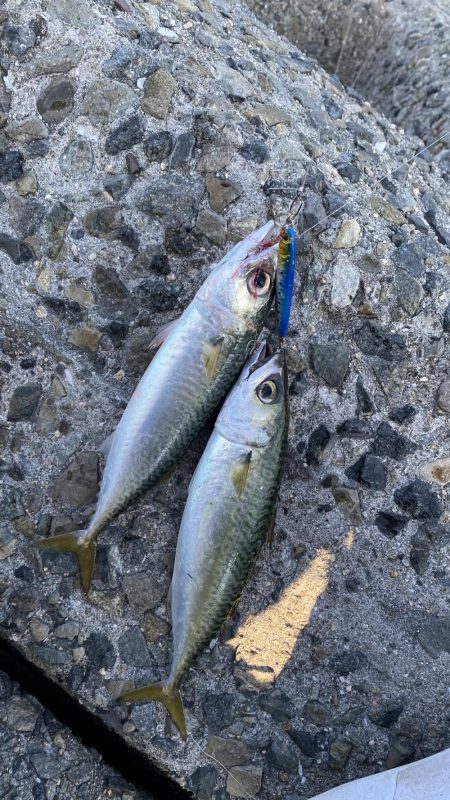 リベンジマッチがサバゲーに…