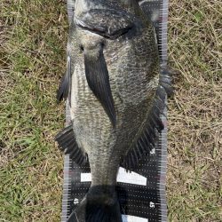 イチノ兄弟、釣果！