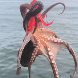 秋を感じるシーサイド