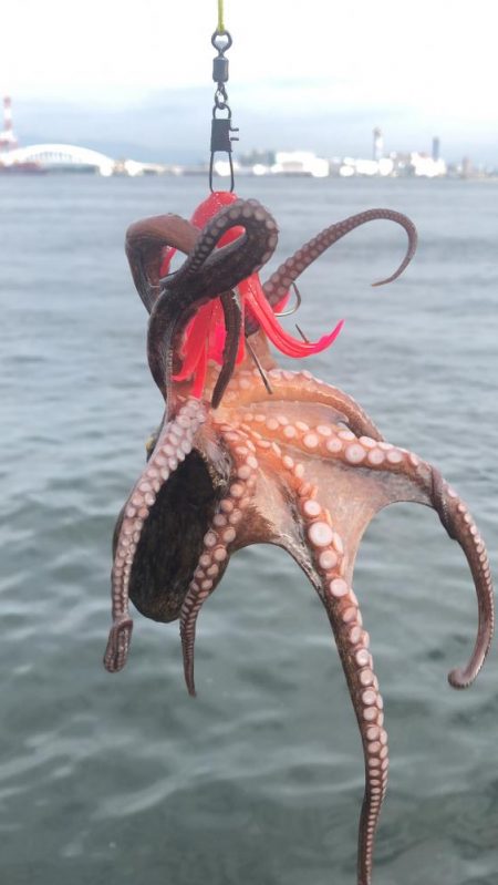 秋を感じるシーサイド