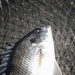 警戒心強すぎ…