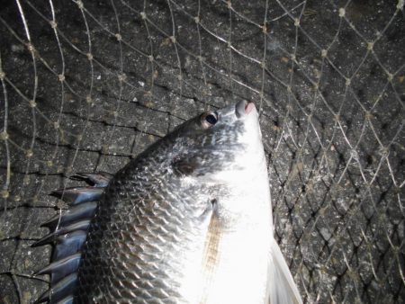 警戒心強すぎ…