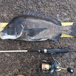 雨上がりのキャスティング