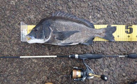 雨上がりのキャスティング