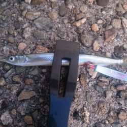 サーフトローリング