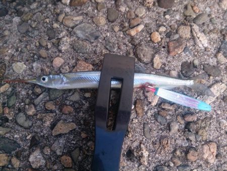 サーフトローリング