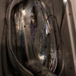 太刀魚ワインド