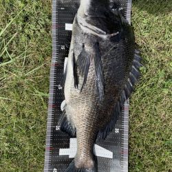 イチノ兄弟、釣果！