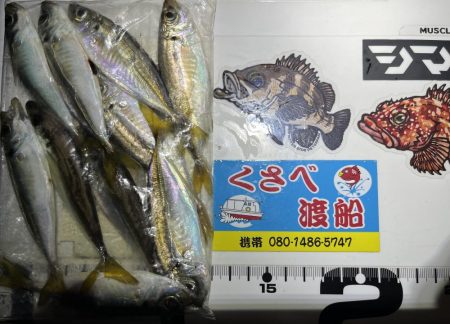 あれれ？なアジング