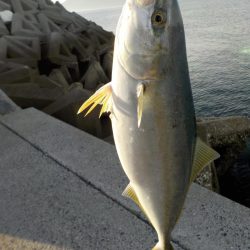 シーズン到来♪