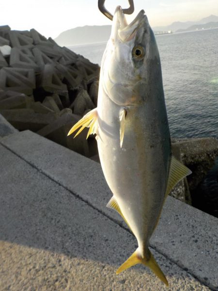 シーズン到来♪